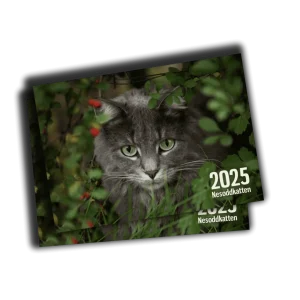 Topakning årskalender 2025